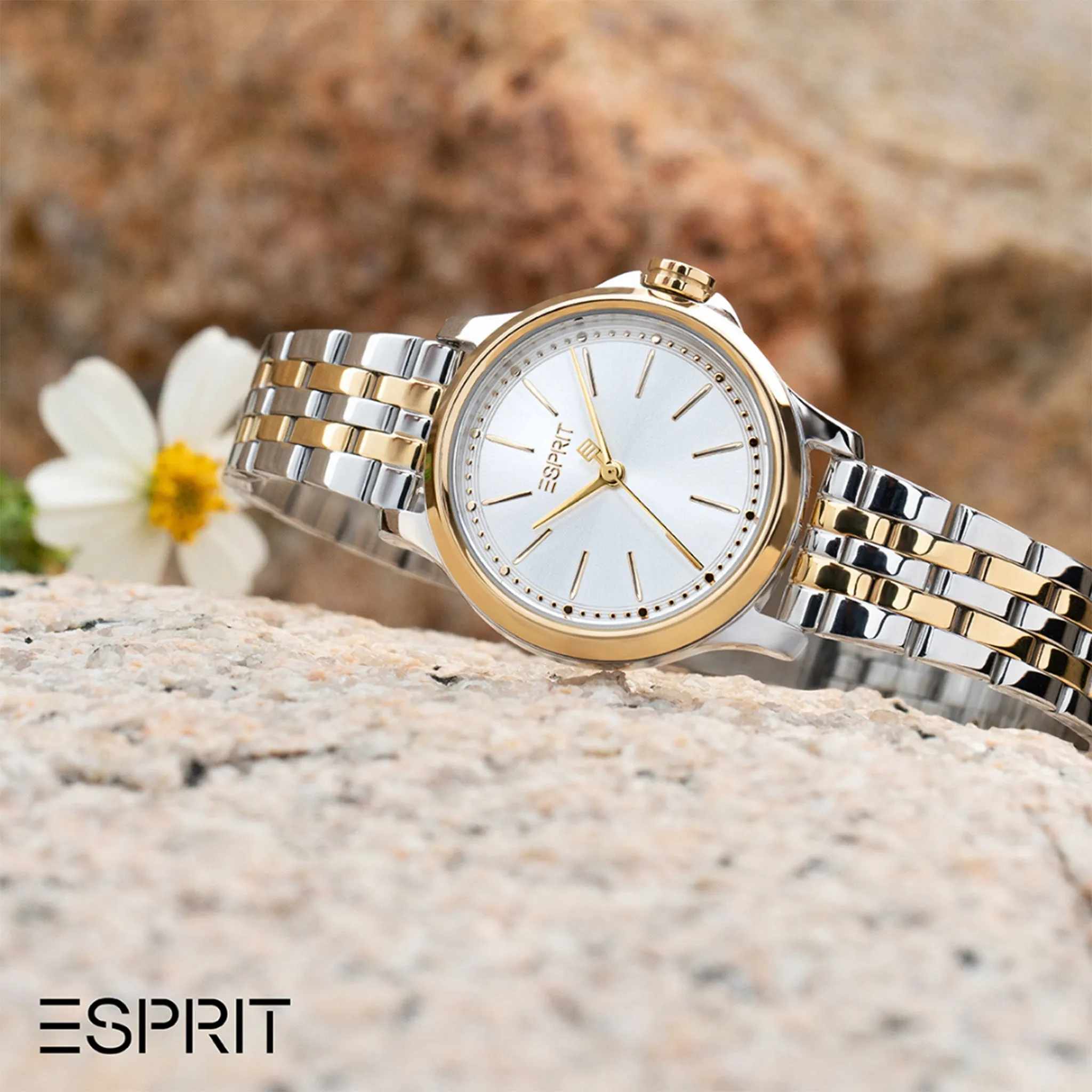 Esprit Stainless Steel Analog Women's Watch ES1L144M2065