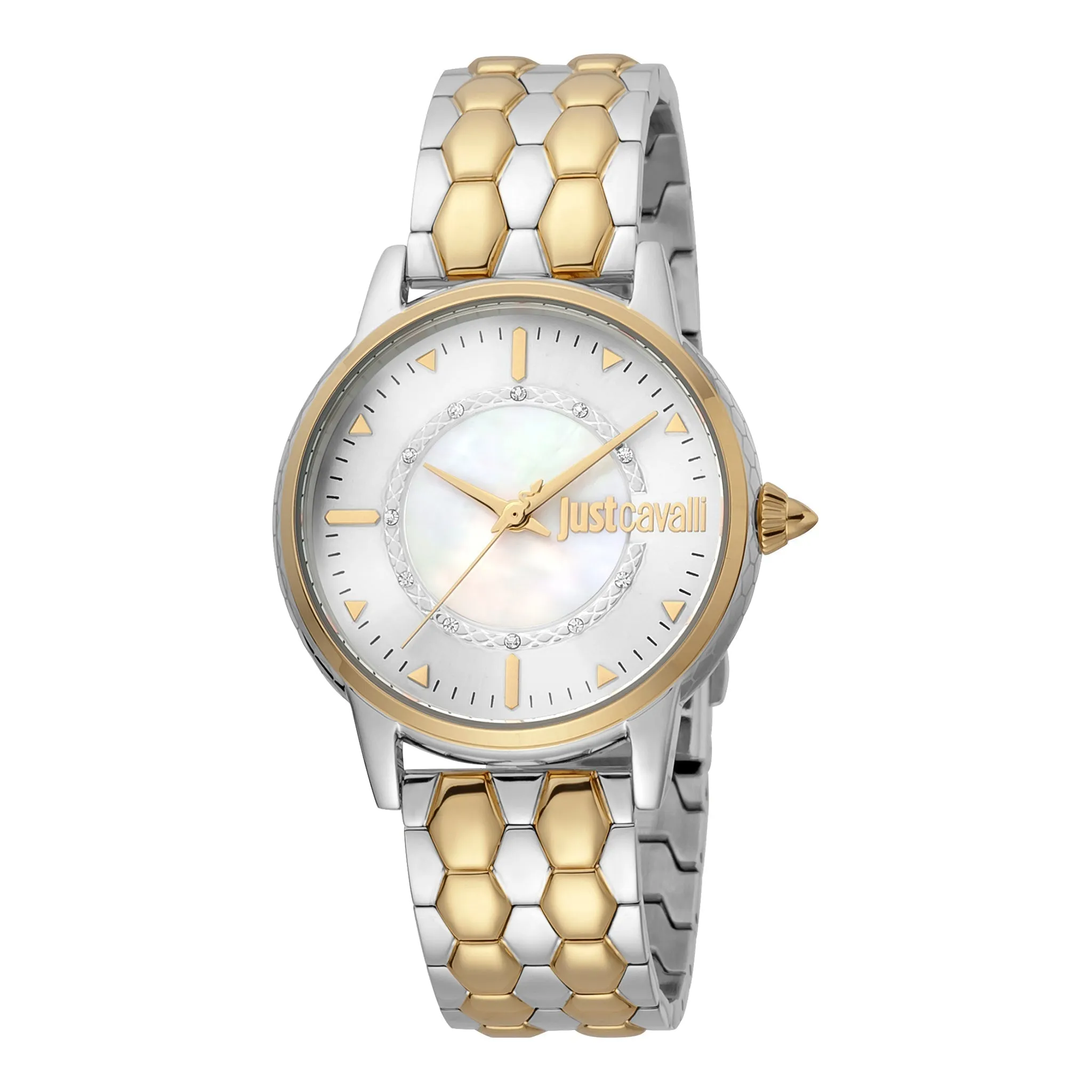 Just Cavalli Stainless Steel Women's Watch JC1L149M0075